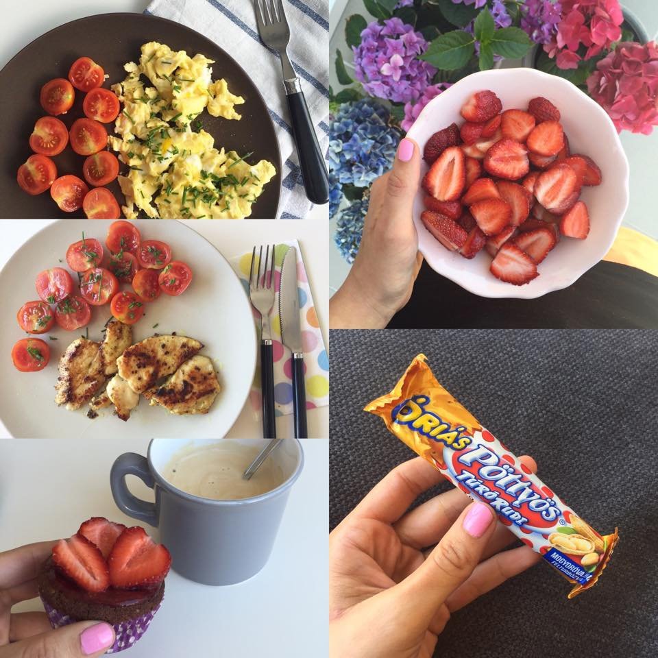 11422773_10206369719263944_1590507726_n