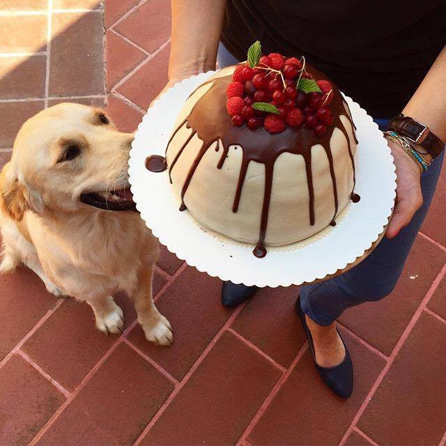 12650506_10207963265221597_1775502079_n